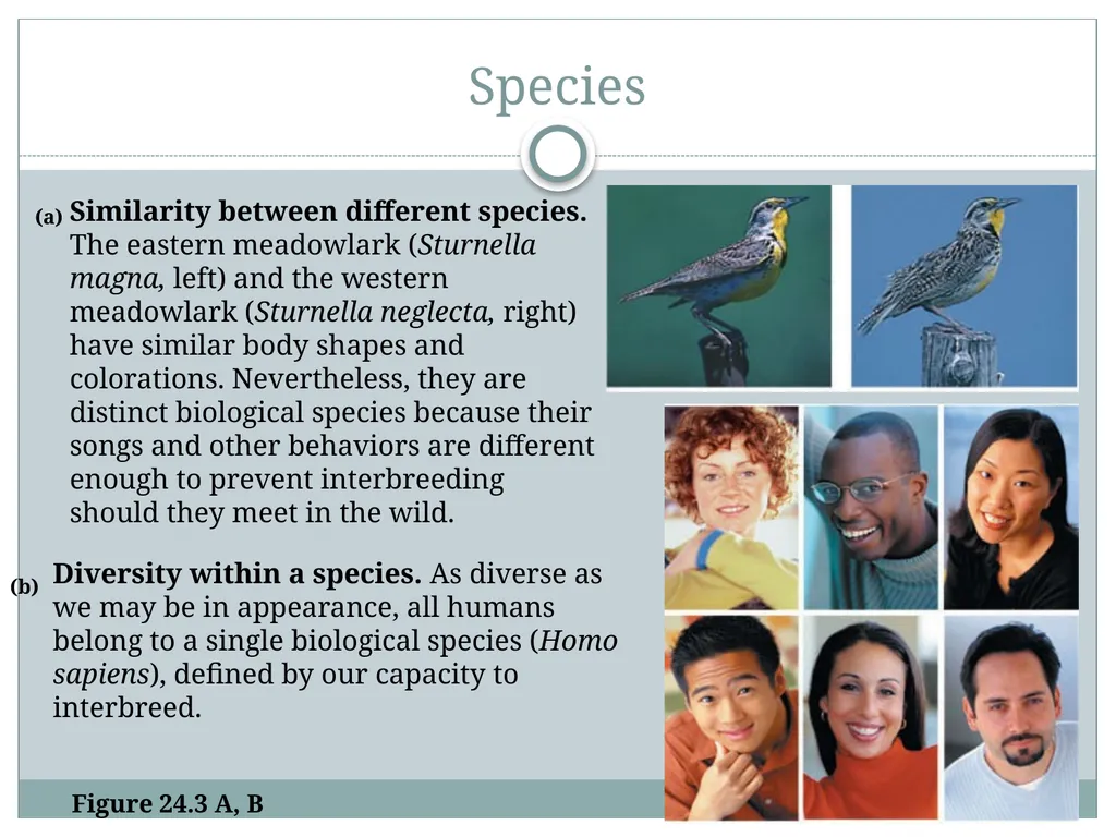 How do living and nonliving parts of the earth - slide 11 of 35