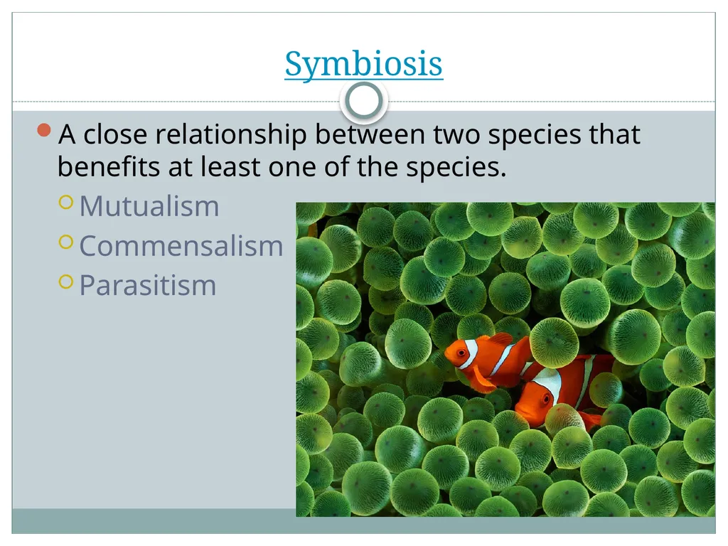 How do living and nonliving parts of the earth - slide 26 of 35