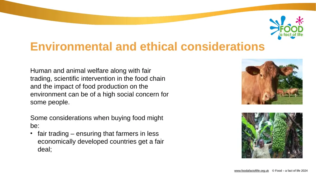 Factors affecting food choice Factors affecting - slide 15 of 32