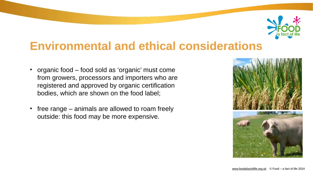 Factors affecting food choice Factors affecting - slide 17 of 32