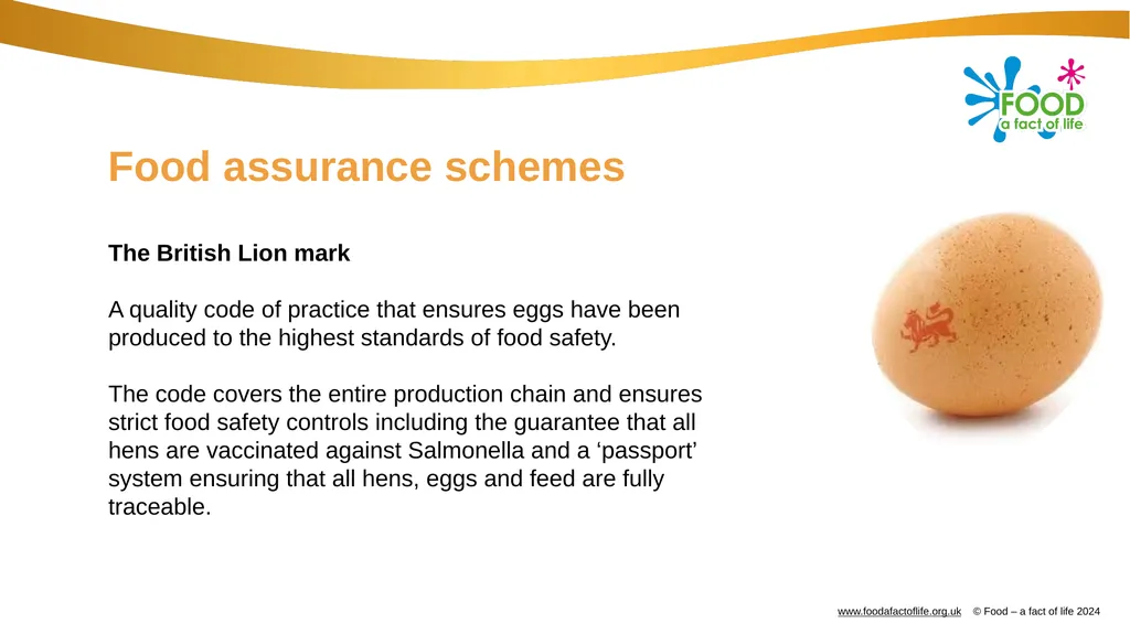 Factors affecting food choice Factors affecting - slide 26 of 32
