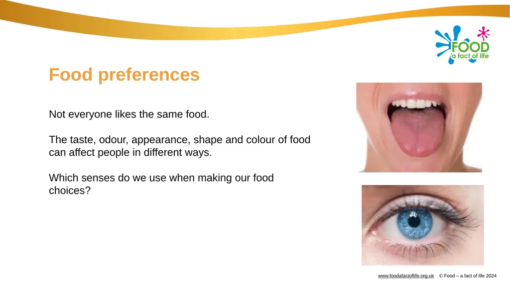 Factors affecting food choice Factors affecting - slide 11 of 32