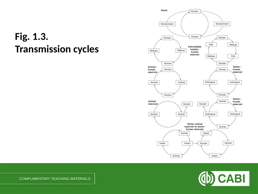 Communicable Diseases, 6th Edition A Global - slide 6 of 14