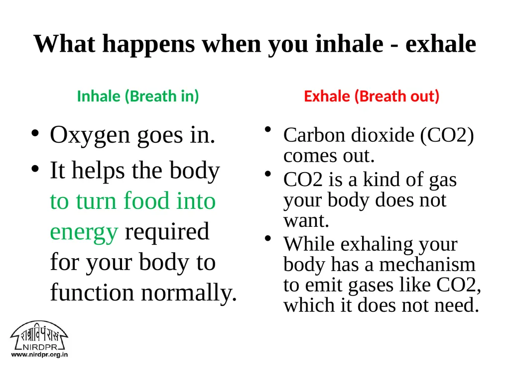 What is Carbon Footprint? What is - slide 4 of 44