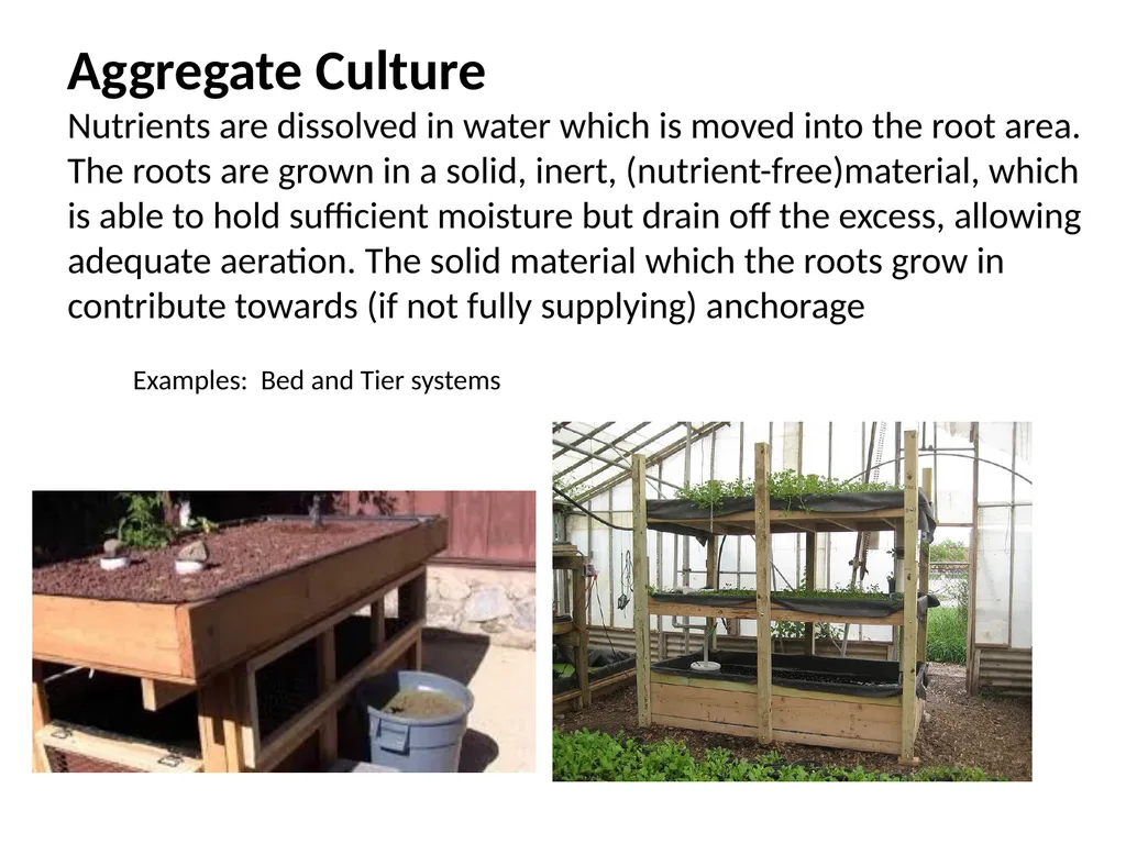Hydroponics Unit 1: Introduction Hydroponics Unit - slide 10 of 19