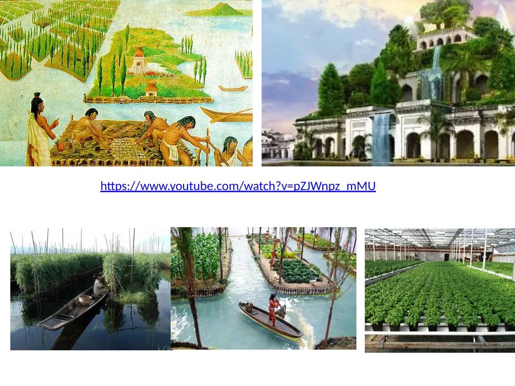 Hydroponics Unit 1: Introduction Hydroponics Unit - slide 7 of 19