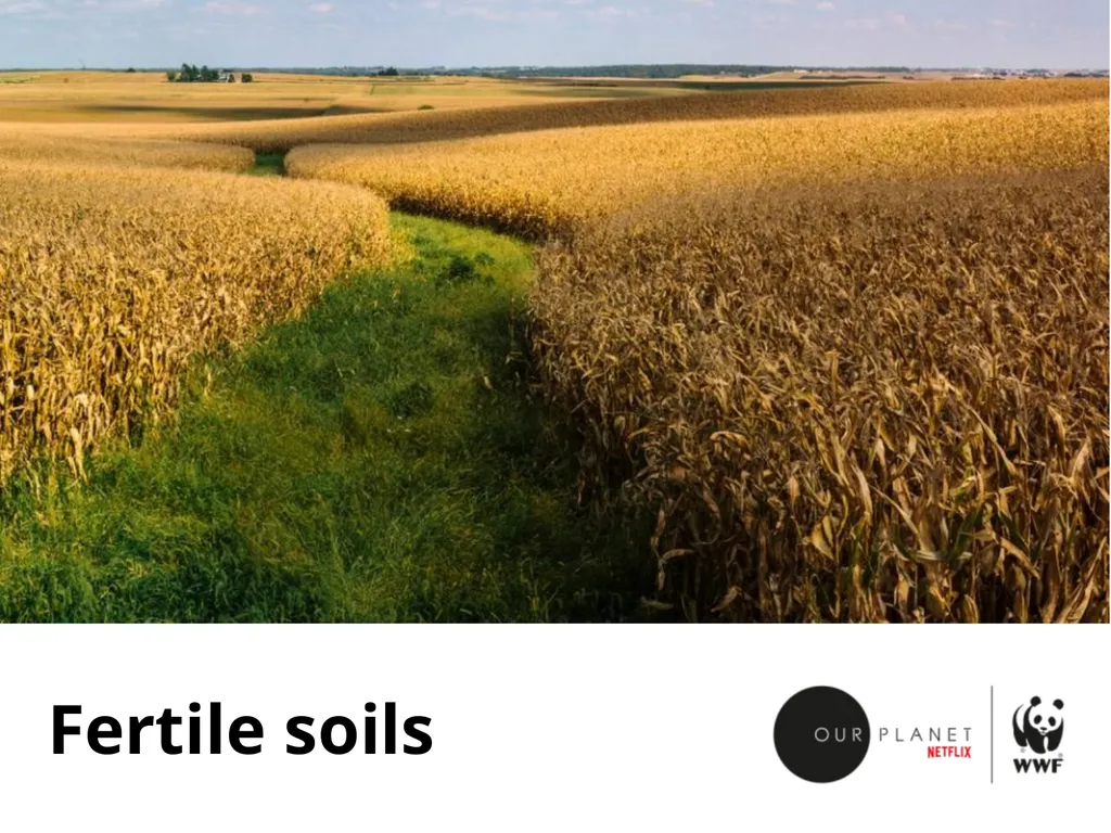 Our grasslands Where in the world? Let’s explore - slide 5 of 9