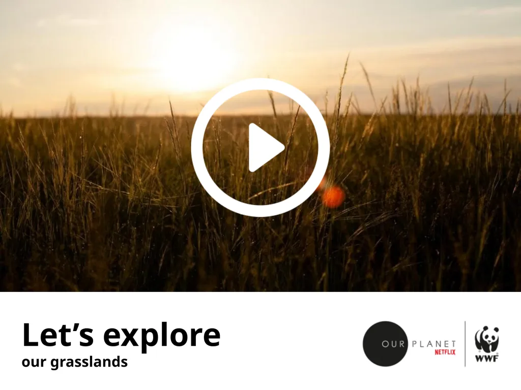 Our grasslands Where in the world? Let’s explore - slide 3 of 9