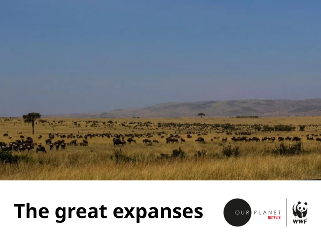 Our grasslands Where in the world? Let’s explore - slide 4 of 9