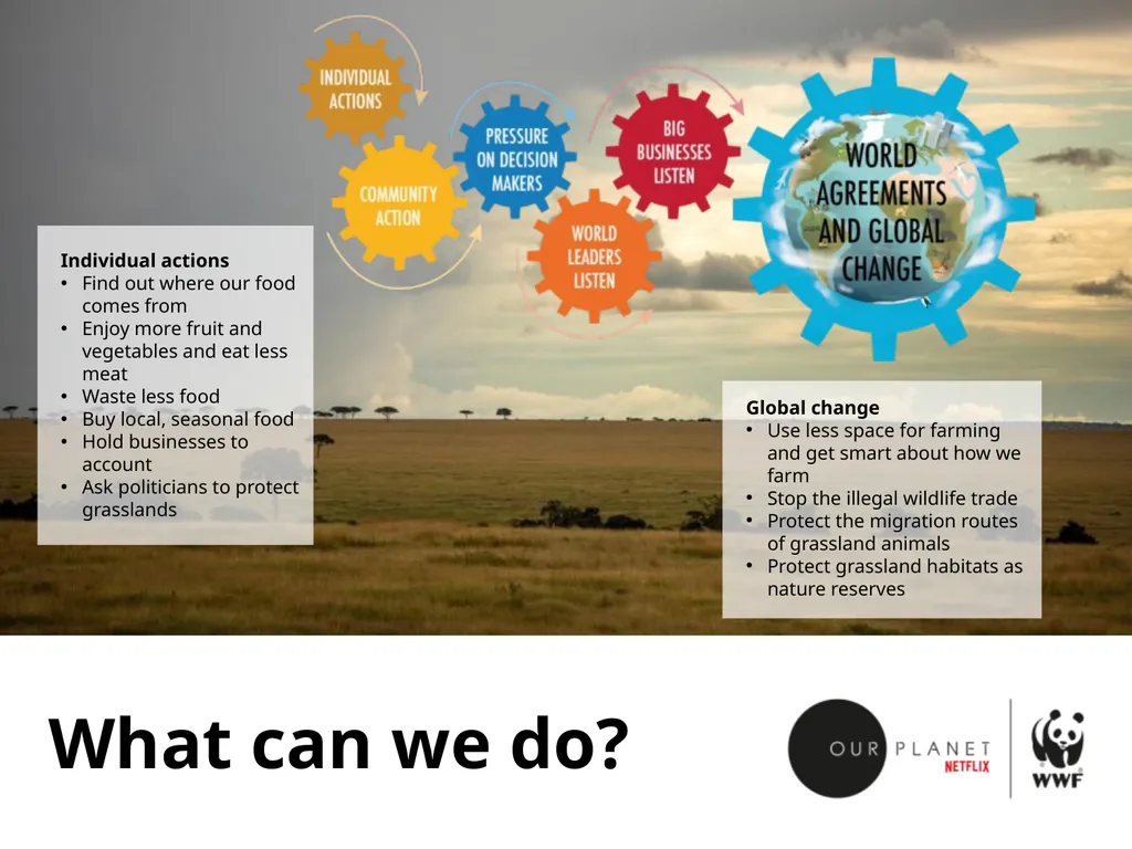Our grasslands Where in the world? Let’s explore - slide 8 of 9