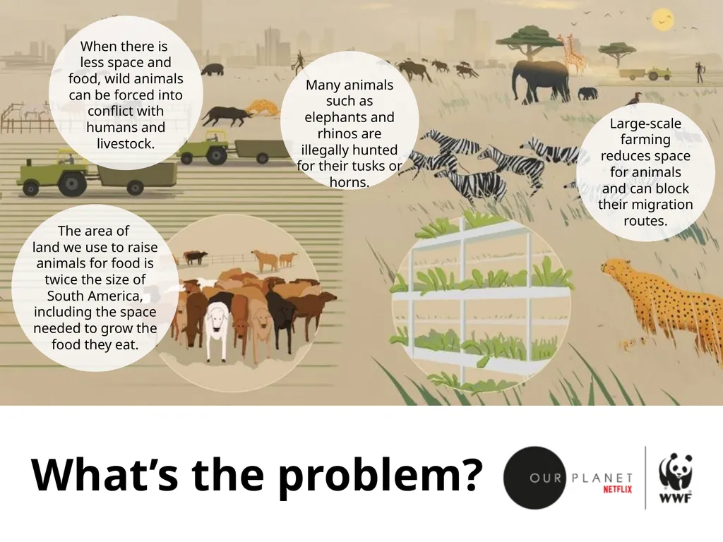 Our grasslands Where in the world? Let’s explore - slide 6 of 9