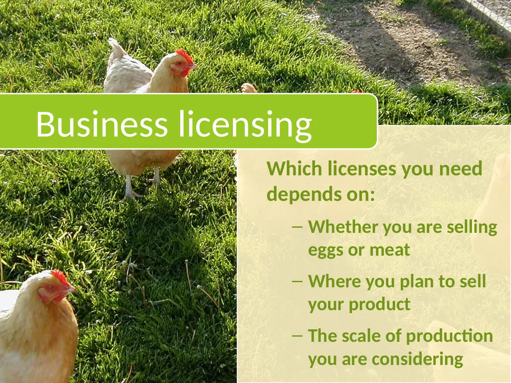 Small-Scale Livestock Production Raising Poultry - slide 27 of 43