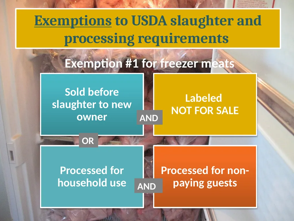 Small-Scale Livestock Production Raising Poultry - slide 32 of 43