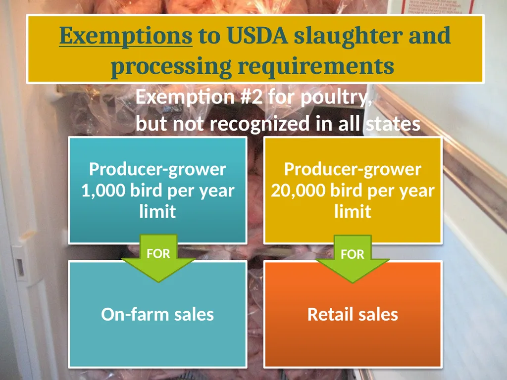 Small-Scale Livestock Production Raising Poultry - slide 33 of 43