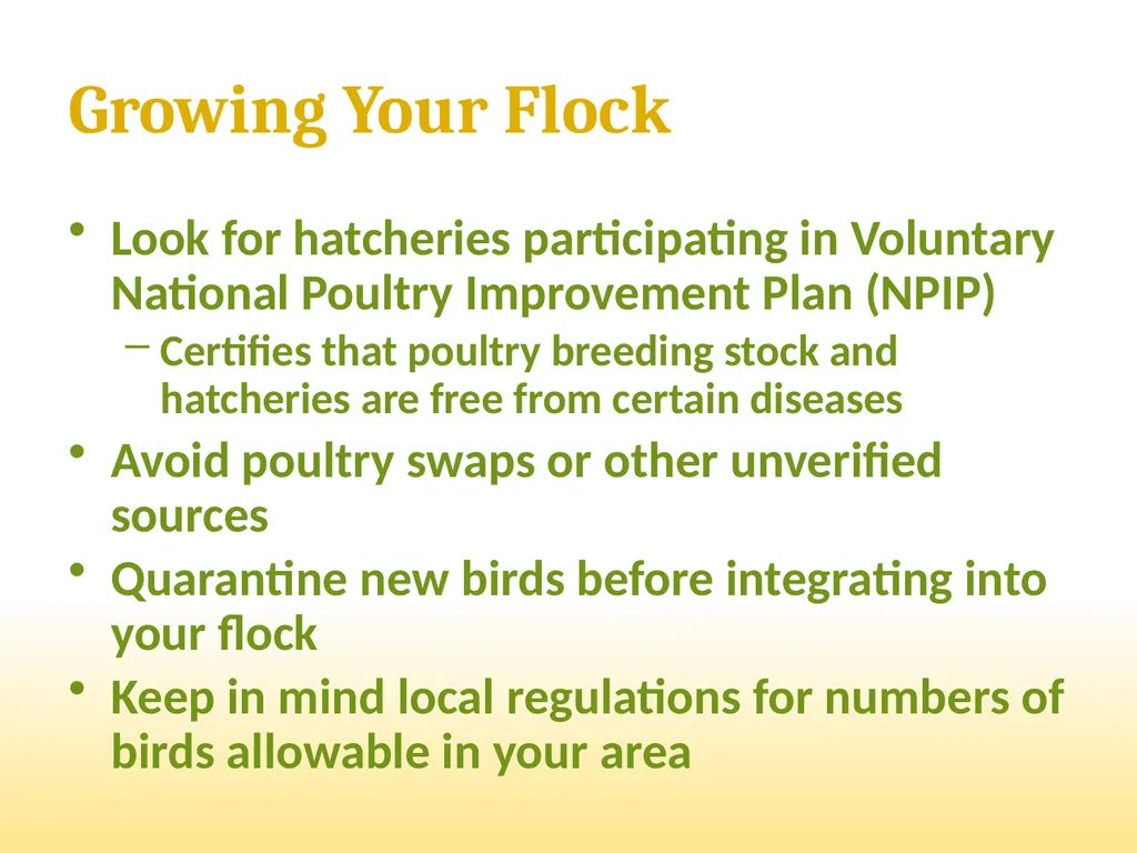 Small-Scale Livestock Production Raising Poultry - slide 21 of 43