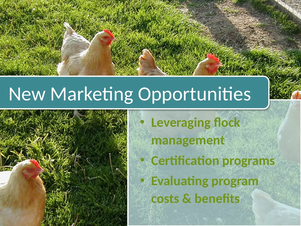 Small-Scale Livestock Production Raising Poultry - slide 4 of 43