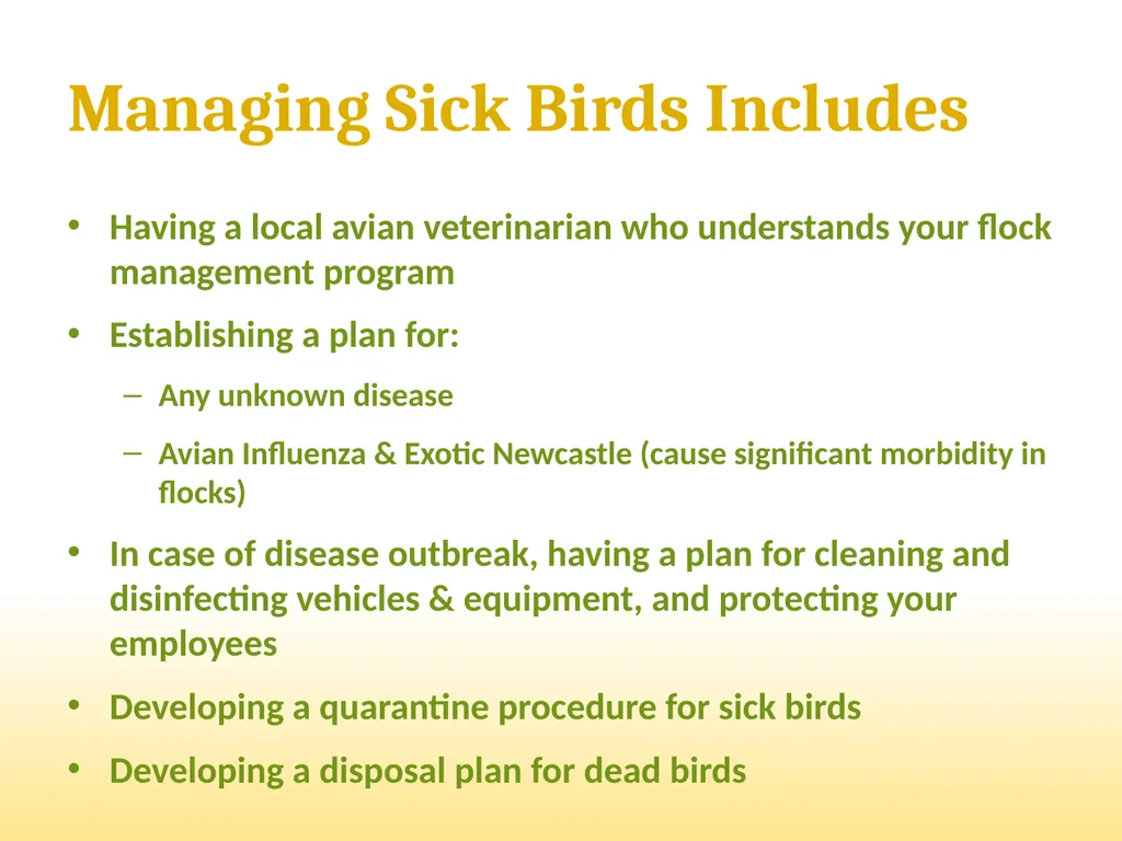 Small-Scale Livestock Production Raising Poultry - slide 20 of 43