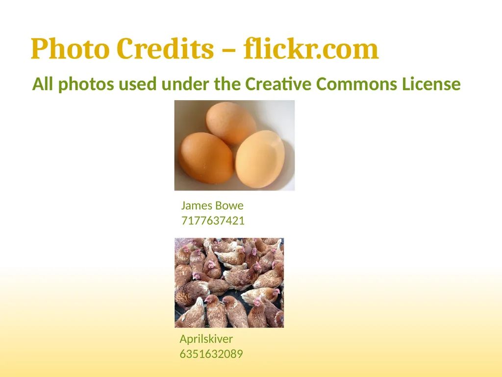 Small-Scale Livestock Production Raising Poultry - slide 43 of 43