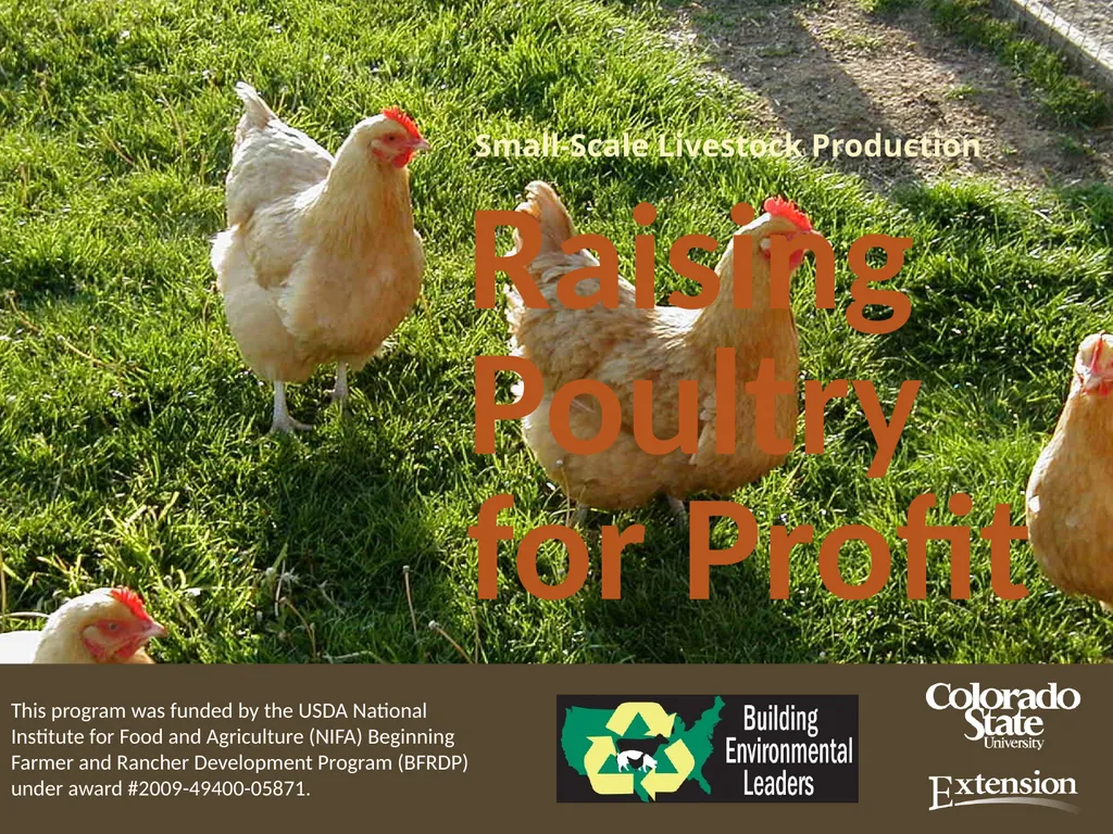 Small-Scale Livestock Production Raising Poultry - slide 1 of 43