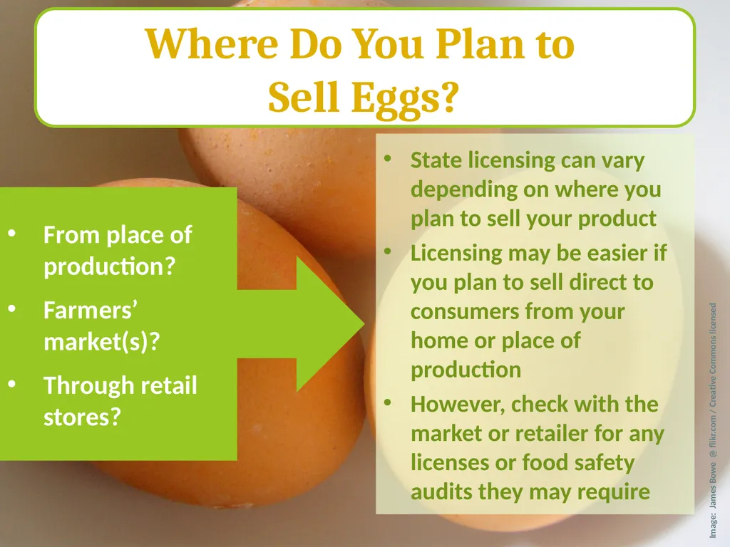 Small-Scale Livestock Production Raising Poultry - slide 30 of 43