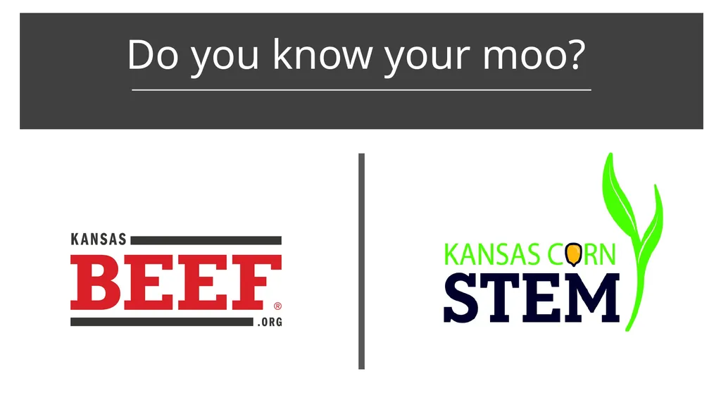 Do you know your moo? Reminders The Challenge - slide 1 of 6