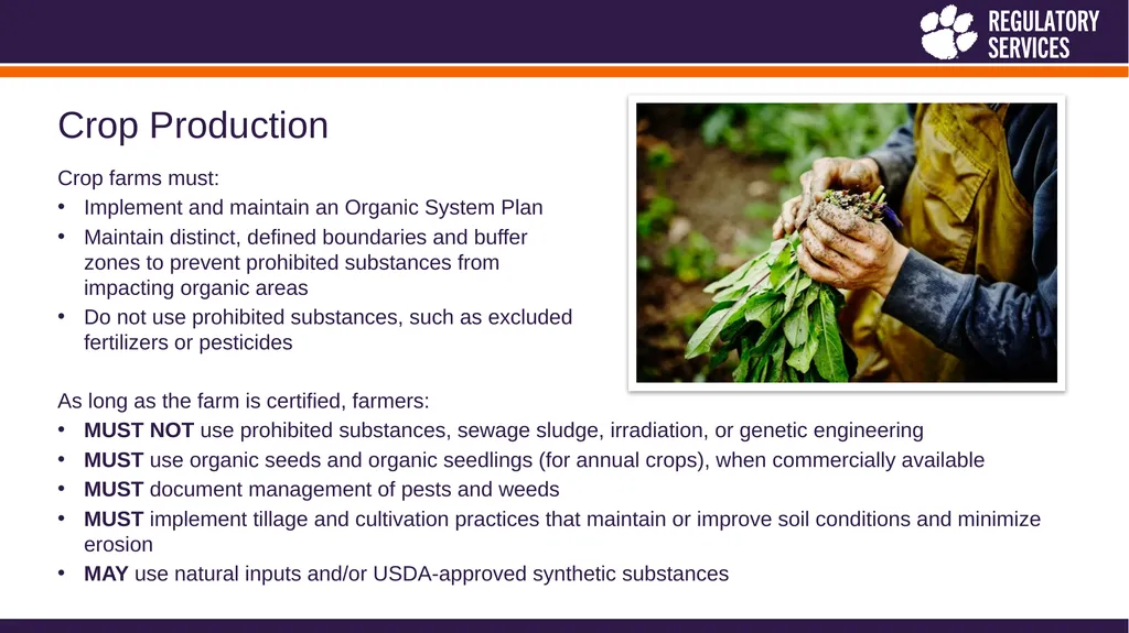Heather Holliday, Assistant Director Jill - slide 16 of 26