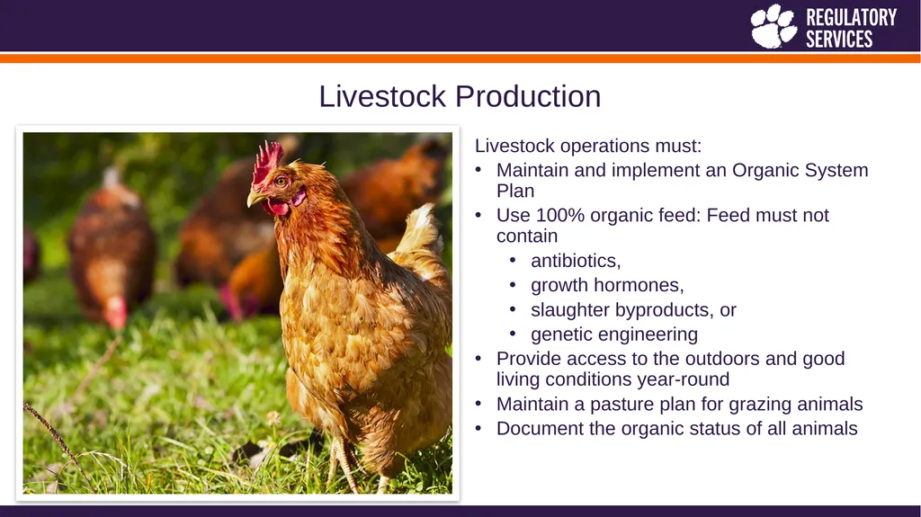 Heather Holliday, Assistant Director Jill - slide 17 of 26