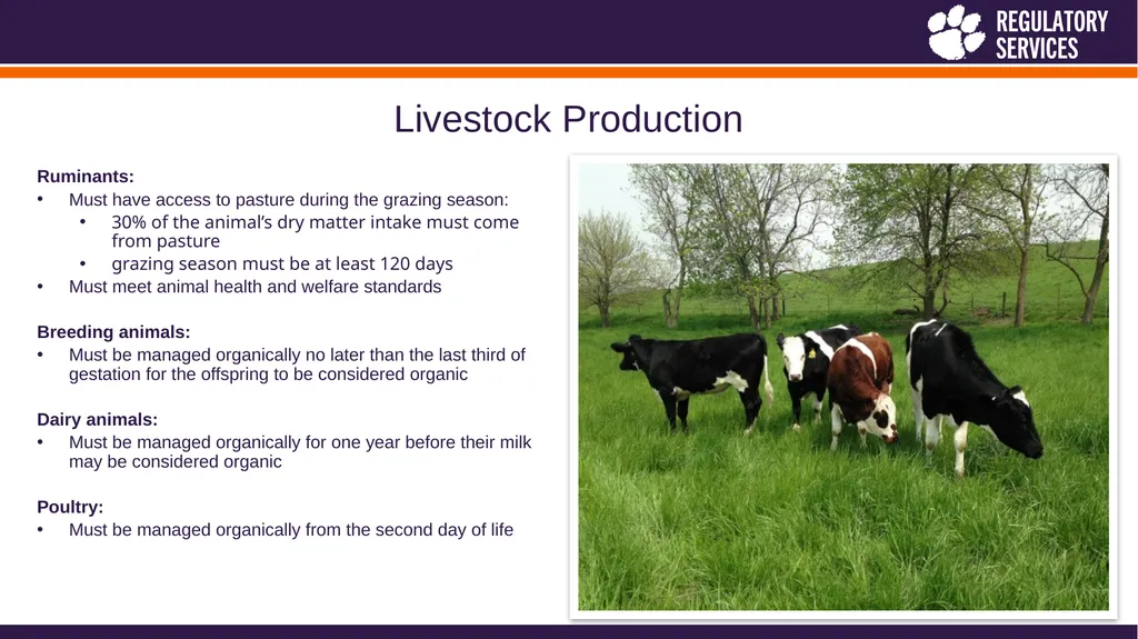 Heather Holliday, Assistant Director Jill - slide 18 of 26