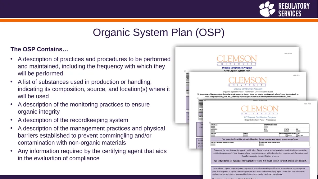 Heather Holliday, Assistant Director Jill - slide 11 of 26