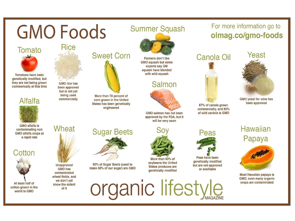 Basic Quality Criteria in Food Control Food - slide 26 of 33