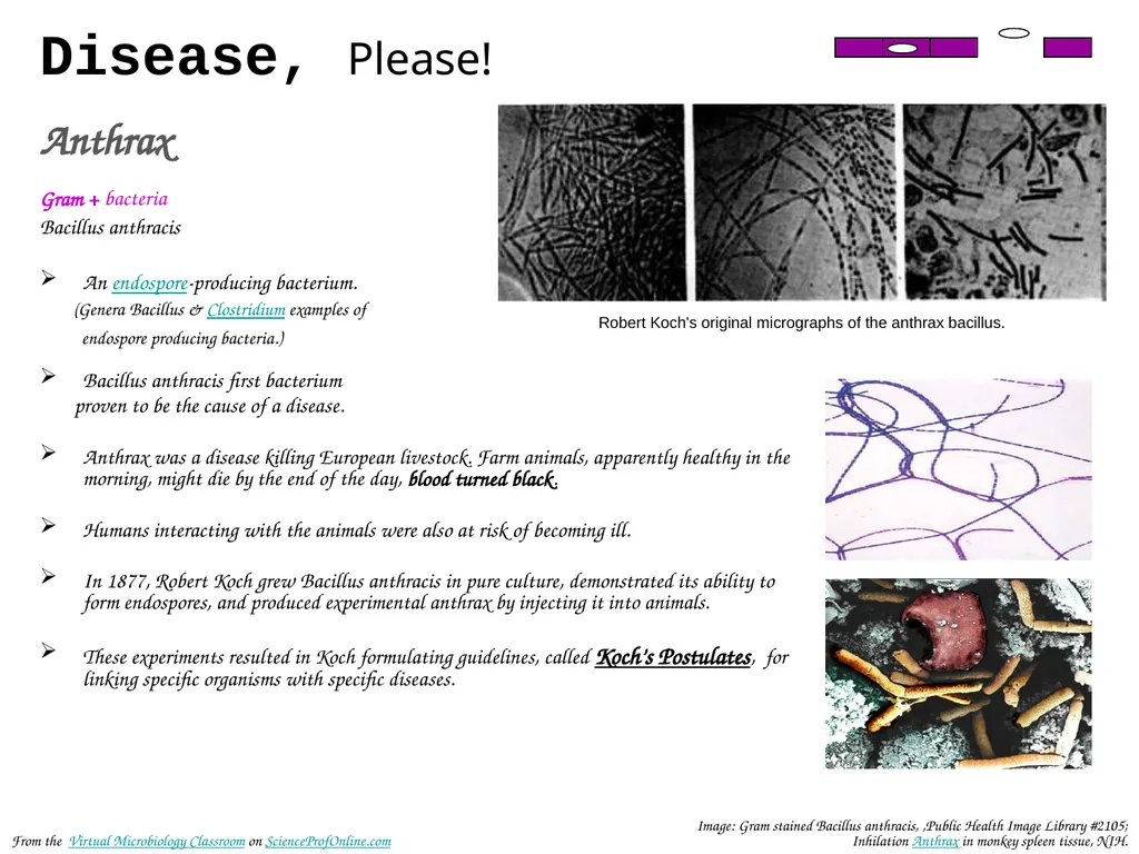 About Science Prof Online PowerPoint Resources - slide 18 of 31