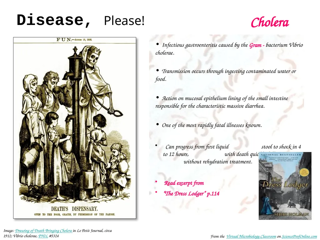 About Science Prof Online PowerPoint Resources - slide 14 of 31