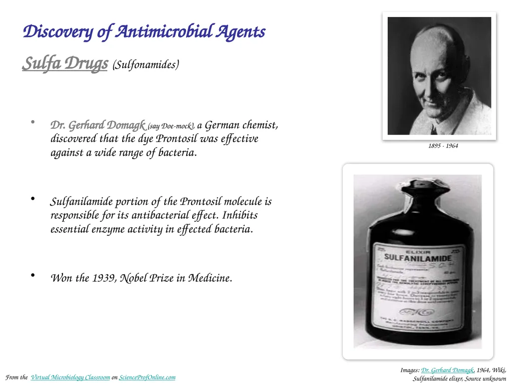 About Science Prof Online PowerPoint Resources - slide 23 of 31