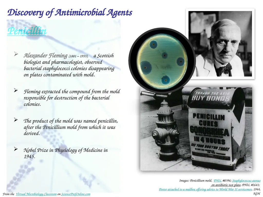 About Science Prof Online PowerPoint Resources - slide 24 of 31