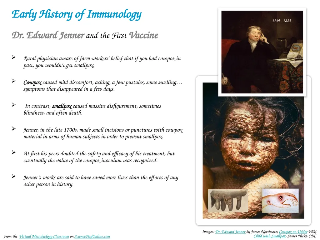 About Science Prof Online PowerPoint Resources - slide 27 of 31