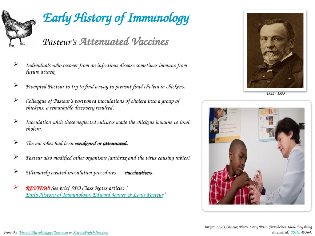 About Science Prof Online PowerPoint Resources - slide 28 of 31