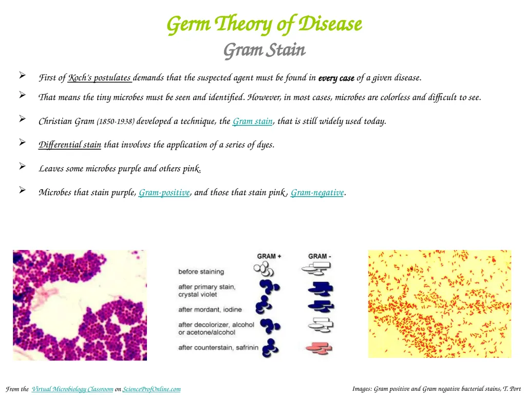 About Science Prof Online PowerPoint Resources - slide 20 of 31