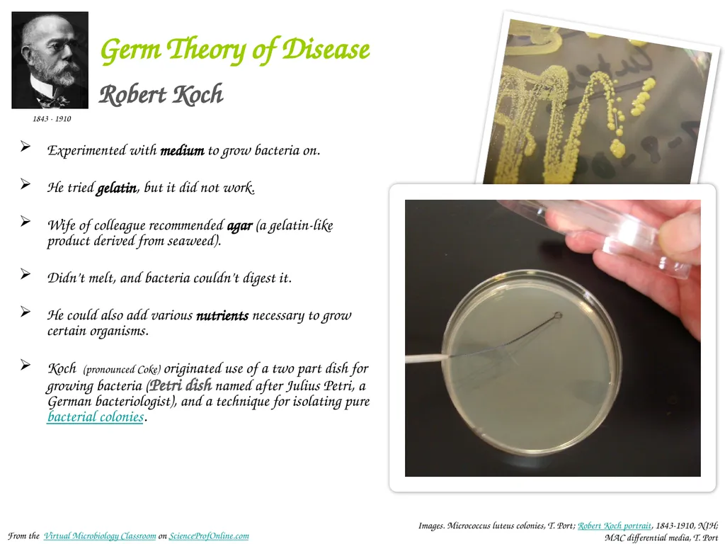 About Science Prof Online PowerPoint Resources - slide 17 of 31