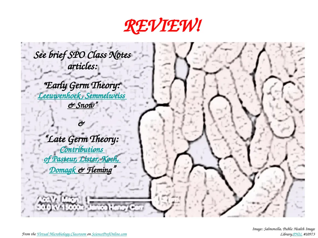 About Science Prof Online PowerPoint Resources - slide 26 of 31