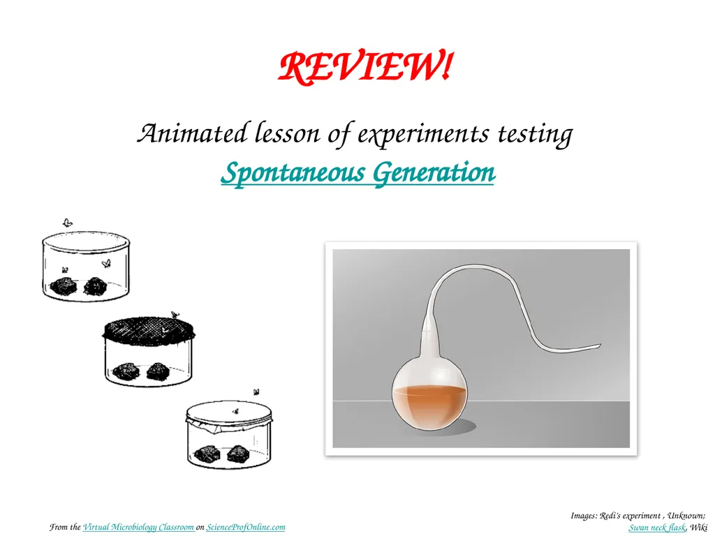 About Science Prof Online PowerPoint Resources - slide 9 of 31