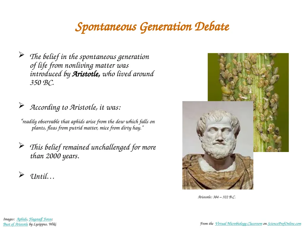 About Science Prof Online PowerPoint Resources - slide 3 of 31