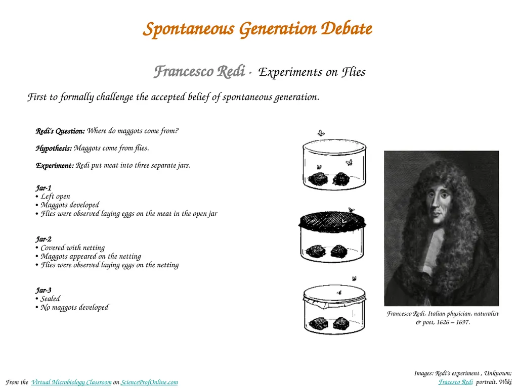 About Science Prof Online PowerPoint Resources - slide 4 of 31