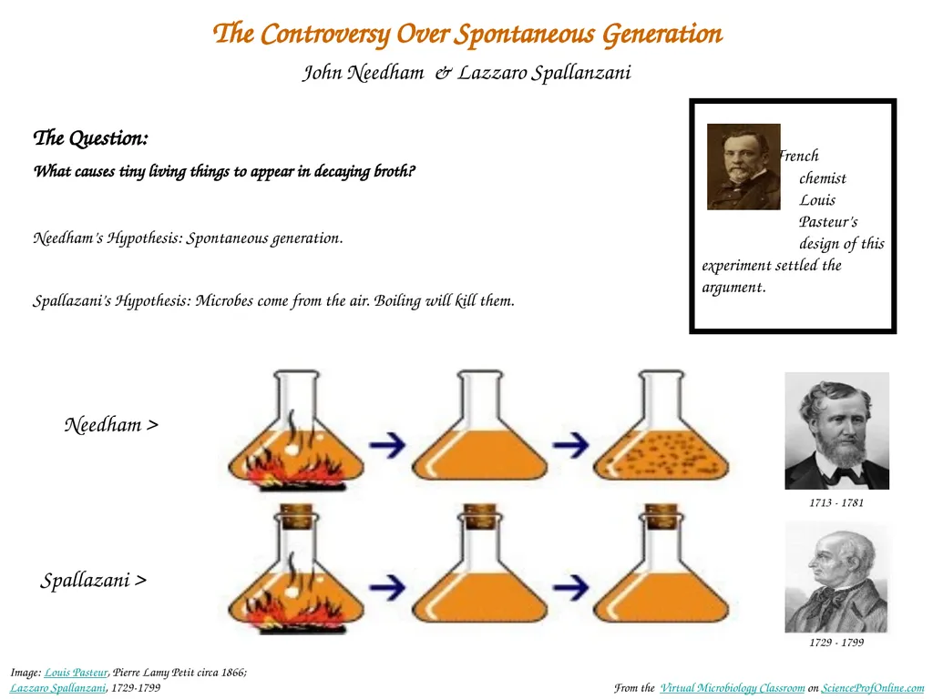 About Science Prof Online PowerPoint Resources - slide 7 of 31