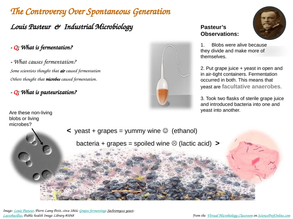 About Science Prof Online PowerPoint Resources - slide 8 of 31
