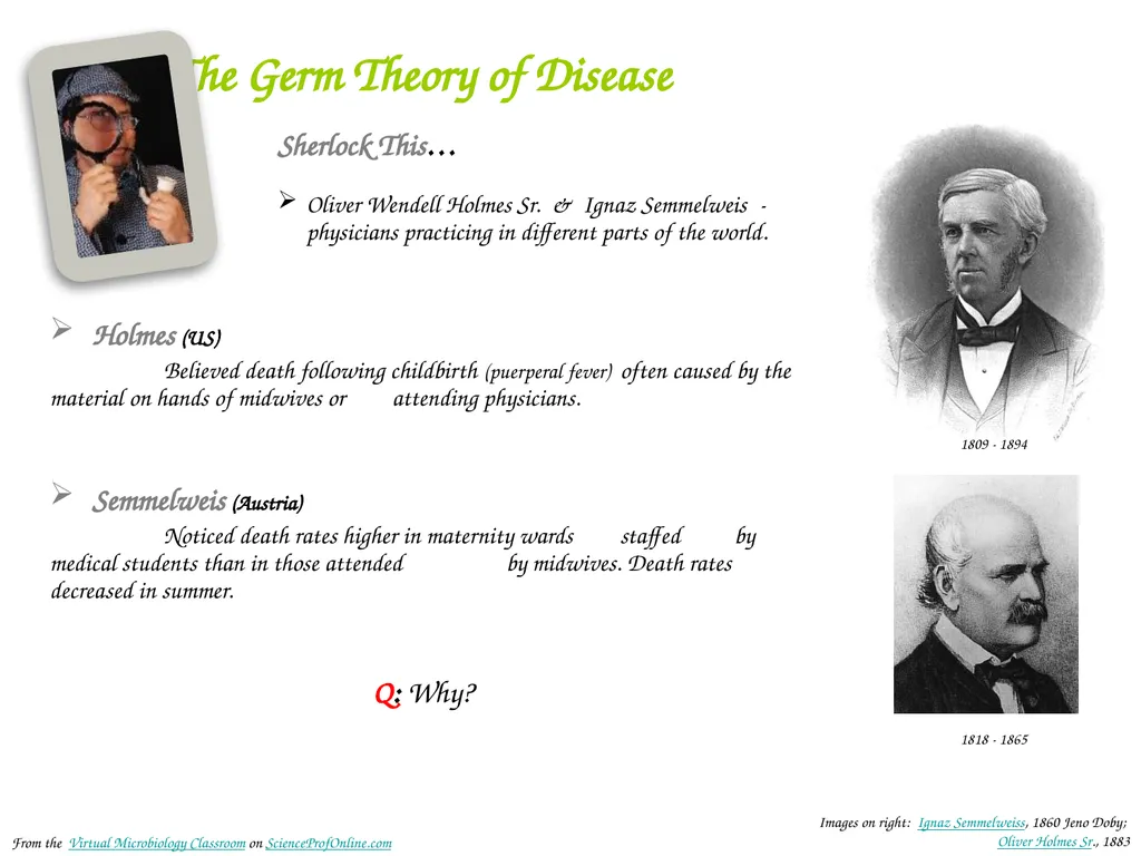 About Science Prof Online PowerPoint Resources - slide 10 of 31