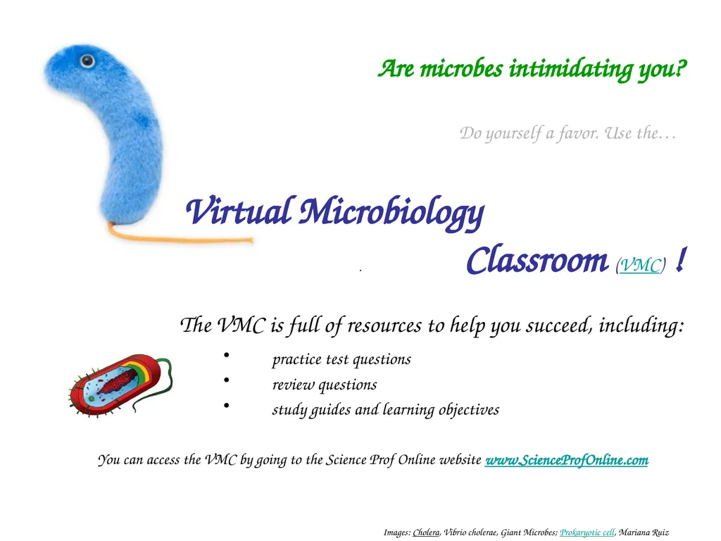 About Science Prof Online PowerPoint Resources - slide 31 of 31
