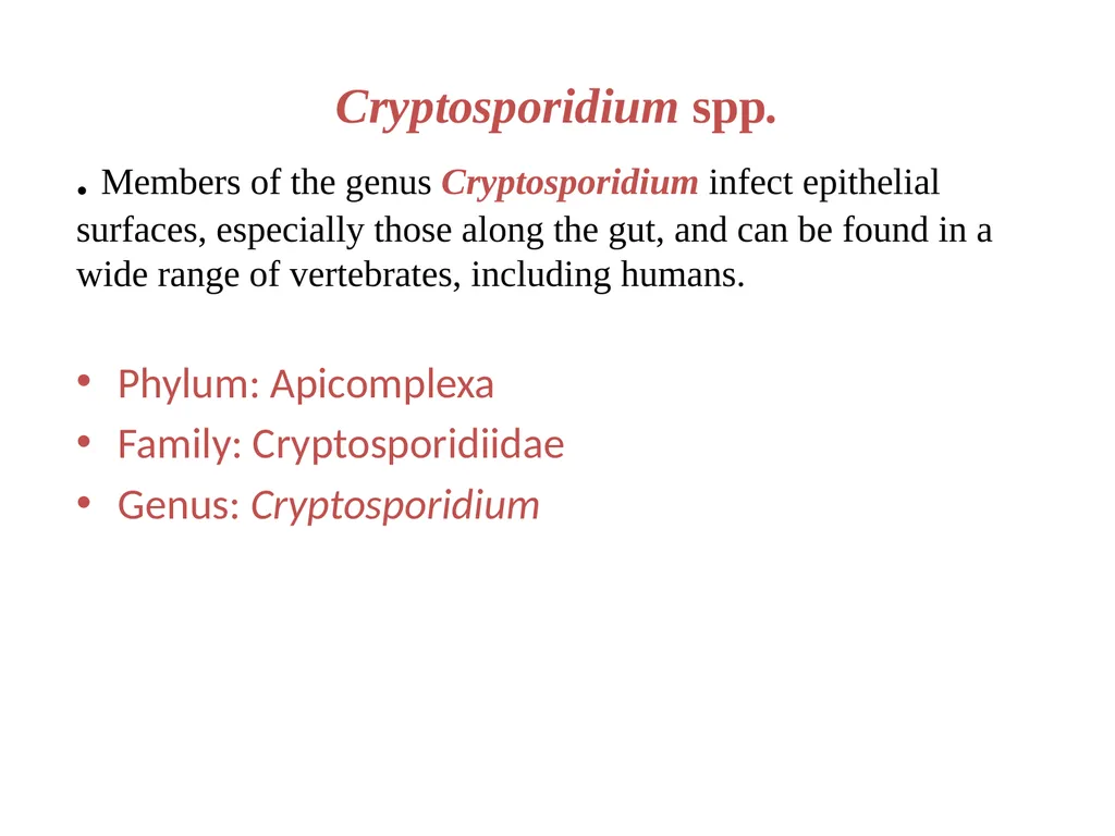 Cryptosporidium & Cryptosporidiosis - slide 2 of 16