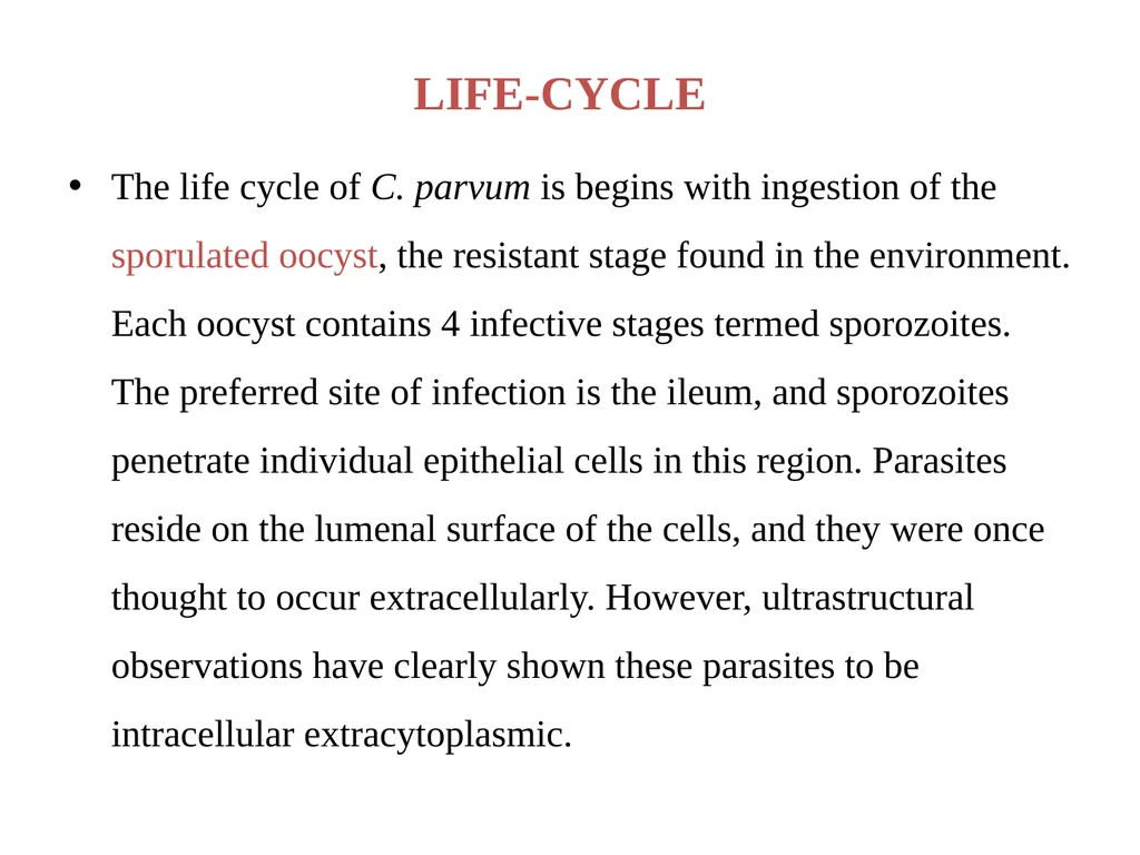Cryptosporidium & Cryptosporidiosis - slide 3 of 16