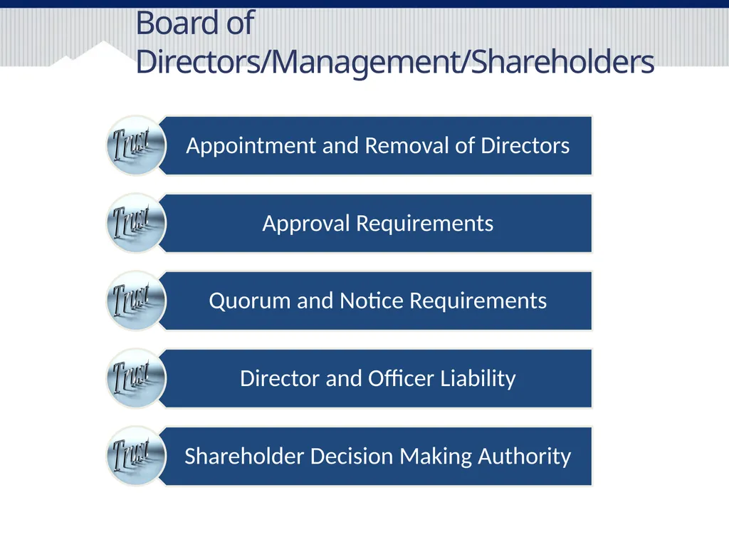 International Joint Ventures What should I know - slide 13 of 23