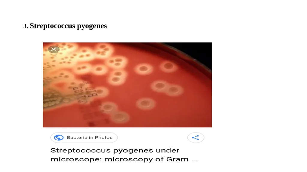 PATHOGENIC MICROORGANISMS WHAT IS A PATHOGEN? A - slide 17 of 38